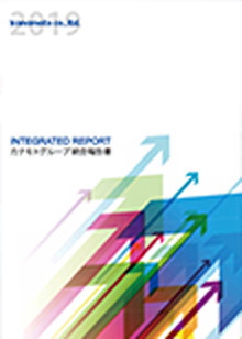 INTEGRATED REPORT