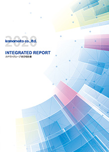 INTEGRATED REPORT